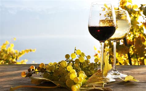 Food Wine HD Wallpaper