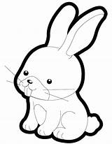 Coloring Pages Of Cute Baby Bunnies At GetColoringscom  Free sketch template