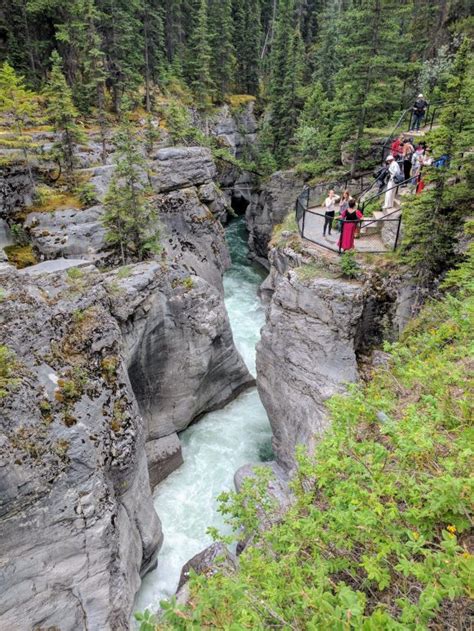 Maligne Canyon With Kids. Discovering Jasper National Park - Grazy Goat