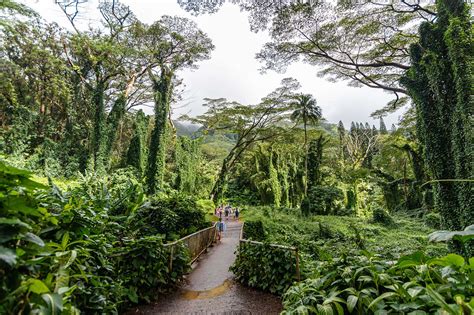 10 Best Hiking Trails in Oahu - Take a Walk Around Oahu’s Most ...