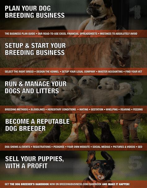 11+ Tips For Beginners Starting In Dog Breeding