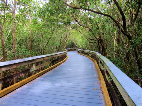 Naples - Clam Pass Beach Boardwalk | Mangove Forest | murphman61 | Flickr