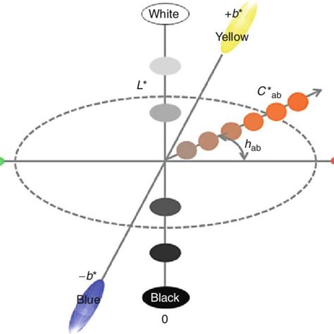 A schematic representation of the CIELAB color space | Download Scientific Diagram