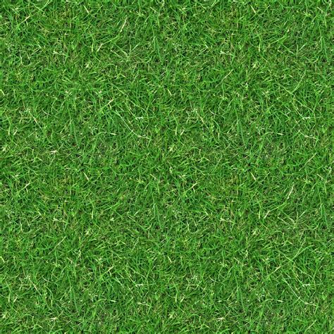 (GRASS 3) seamless turf lawn green ground field texture | Grass texture seamless, Grass textures ...