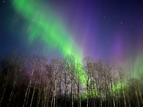 Did you see it? Vivid aurora borealis lights up the sky across much of ...