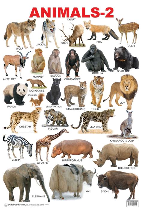 Buy Educational Charts Series: Animals-2 at Rs.112.00