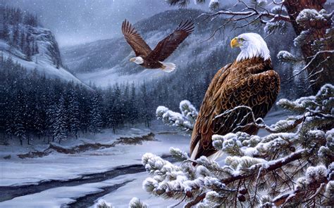 🔥 Download Pics Photos Bald Eagle Desktop Wallpaper And Background by @nfreeman54 | Bald Eagle ...