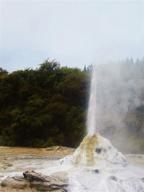 on the road (and in the sky): rotorua: geysers, glowworms and green hills