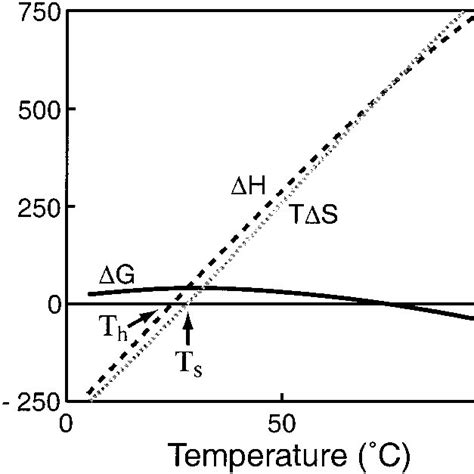 (PDF) A View of the Hydrophobic Effect