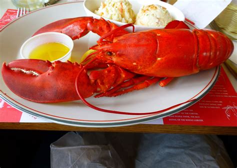 Delicious Nova Scotia lobster lunch Holland America, America And Canada, Nova Scotia Lobster ...