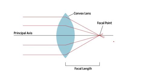 Convex Lens | Physics Wallah