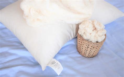 Top 8 Organic Toddler Pillows | Green Snooze