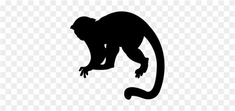 Monkey Silhouette Png - Capuchin Monkey Silhouette Png, Transparent Png - 1000x600(#4210783 ...