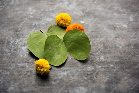 Premium Photo | Indian festival greeting card - happy dussehra, showing golden leaf and flowers ...