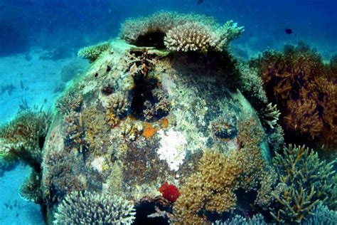 Reef Balls To Aid Bailiwick's Marine Life? - Channel 103