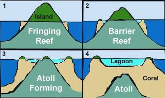 Coral Reef: Fringing Reef, Barrier Reef & Atoll | PMF IAS