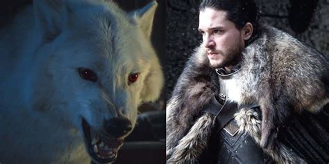 Here’s Why Jon Snow Abandoning Ghost Was So Important For The Future of Westeros