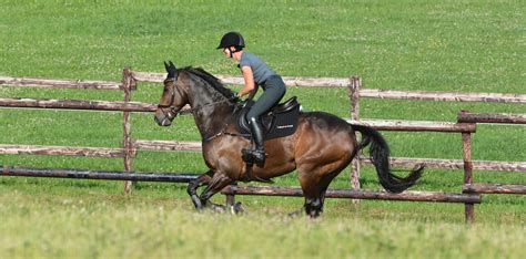 Our top training tips for clearing the cross country jumps!