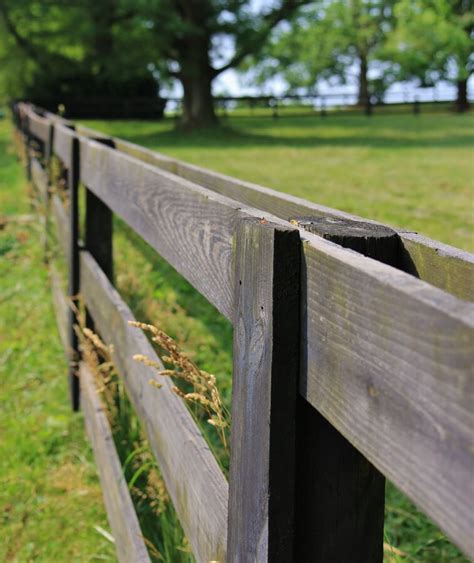 Island Fence Hialeah: Boundary Fence Laws