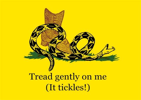 The Best Gadsden Flag Memes - Romano Law