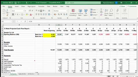 13 Week Cash Flow Forecast Template Excel Free - Printable Word Searches