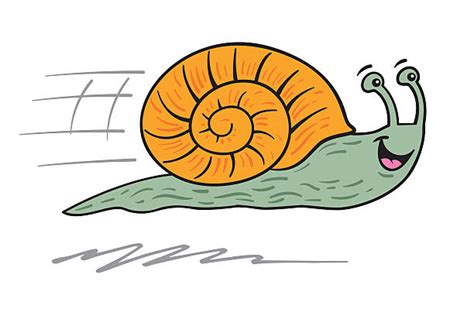 Royalty Free Racing Snail Clip Art, Vector Images & Illustrations - iStock