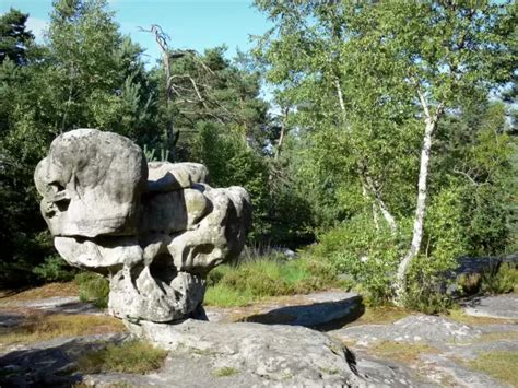 Fontainebleau forest - Tourism & Holiday Guide