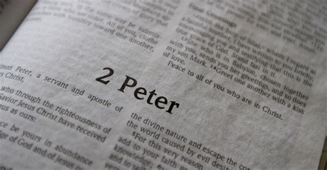 60 Top Images Apocalypse Of Peter Summary : (PDF) Justice and Mercy in the Apocalypse of Peter ...