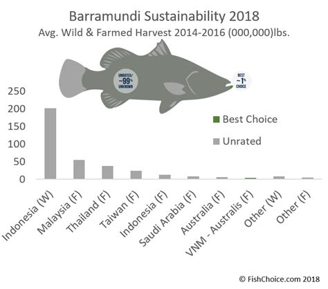 Barramundi | FishChoice