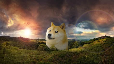 Doge Meme Wallpapers - Wallpaper Cave