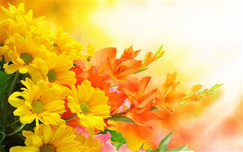 100+ mẫu images flower background orange đẹp cho thiết kế thiệp cưới và tặng người yêu