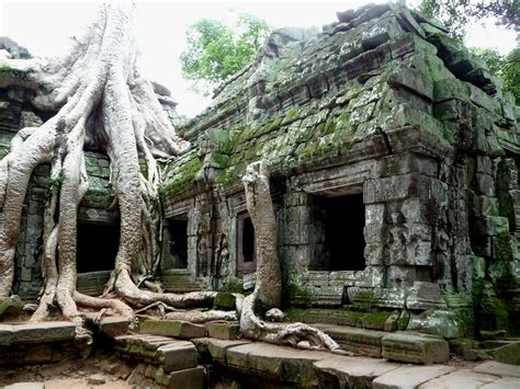 Angkor Wat Temple, Cambodia | Jungle temple, Overgrown, Abandoned places