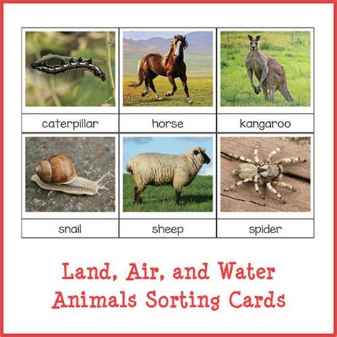 Sorting animals that live on land, air, and water {Montessori printable ...