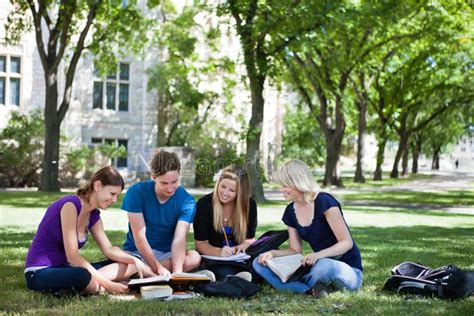 College Students Studying Together Royalty Free Stock Photos - Image ...