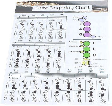 C Major Scale Flute Finger Chart | ubicaciondepersonas.cdmx.gob.mx