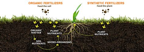 Evils of Synthetic Fertilizer - Poorna Natural Farm