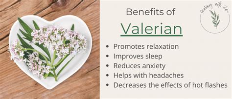 Valerian Complex: For Insomnia & Anxiety - Healing with Zen