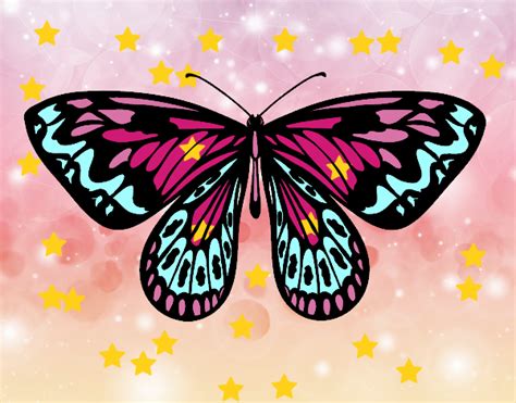 Dibujo de mariposita de mil colores pintado por en Dibujos.net el día 30-06-15 a las 21:50:13 ...