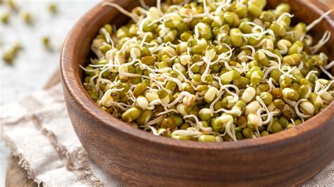 How to grow bean sprouts: simple tips for growing them at home | Gardeningetc