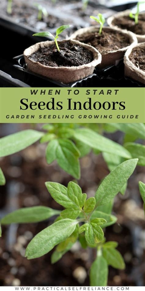 When to Start Seeds Indoors