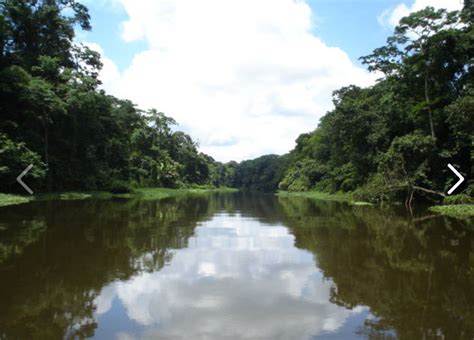 Tortuguero National Park & Barra del Colorado | Costa Rica Vacation