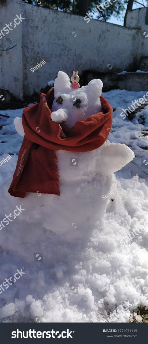 1 Ranikhet Snowfall 2020 Images, Stock Photos & Vectors | Shutterstock