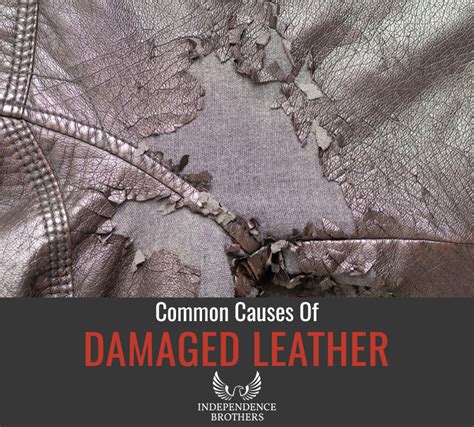 Common Causes Of Damaged Leather - Independence Brothers