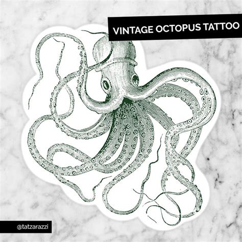 Vintage Octopus Large Temporary Tattoo Temp Tat Illustration Marine Ocean Sea Animal Dark Pirate ...