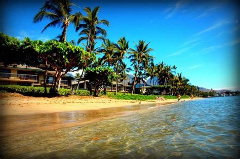 Ahhhh :D Baby Beach Maui | Hawaii vacation, Baby beach maui, All about hawaii