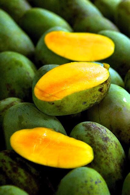 Mango season | Flickr - Photo Sharing!