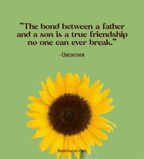 120 Cute Father Son Quotes – Quotes About Dad and Son – BoomSumo