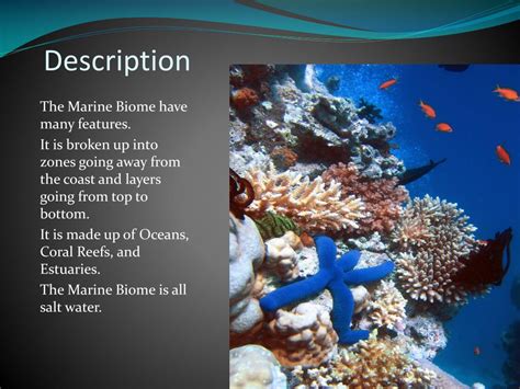 PPT - Marine Biome PowerPoint Presentation, free download - ID:2121305