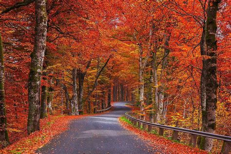 Sweden Autumn Wallpapers - Wallpaper Cave