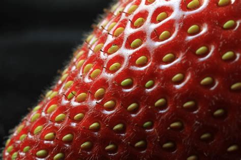 strawberries method - mygardenchannel